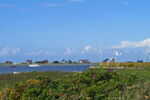 Approach to the harbour with a view of Graswarder