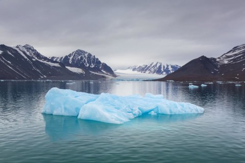 Ice floe in front of Monacobreen