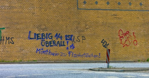 Graffiti on a wall Rent sharks to fish fingers