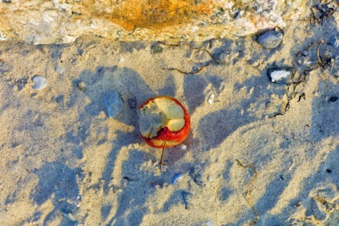 Bitten apple on the beach