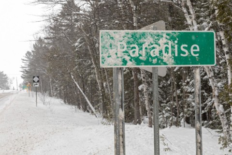 Paradise