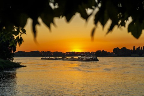 Freighter on the Rhine in the evening