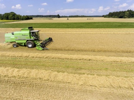 Grain harvest