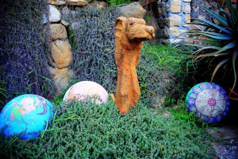 Pallanca exotic garden