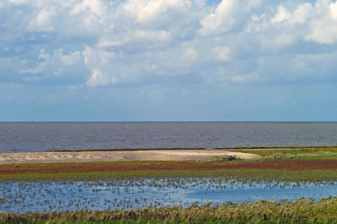 Wadden Sea at high tide