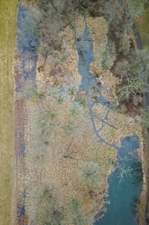 Aerial photograph