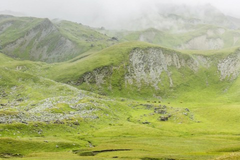 Col du Lautaret