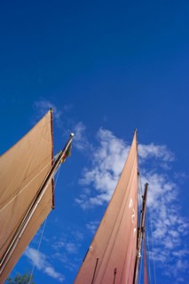 The sails of a Zeesen boat