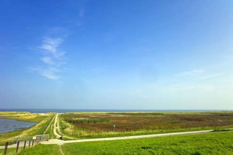 Salt marshes and beach at Schillig