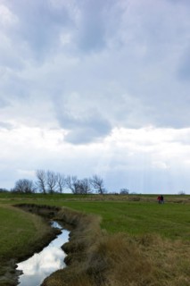 Puett in the dyke foreland near Fedderwardersiel