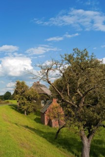 Farmhouse with apple tree and bread baking house in Werderland