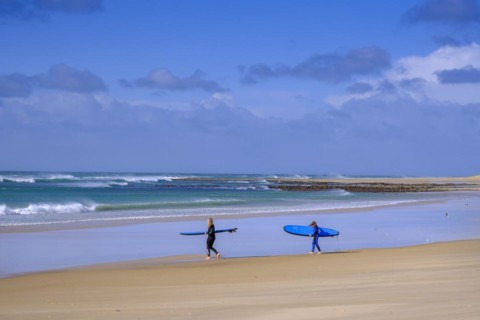 Surfers on the beach