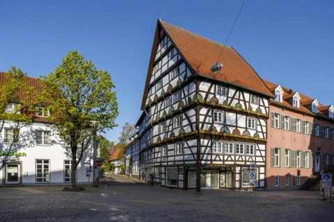 Haus zur Rose or Freiligrath House
