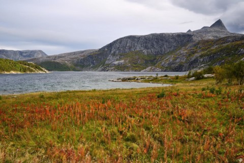 Saltfjorden in autumn