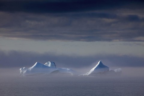 Icebergs in the mist