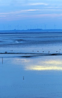 Evening light in the mudflats on the Dollart