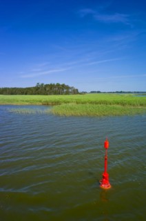 Saaler Bodden