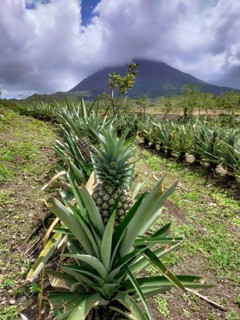 Arenal Volcano National Park