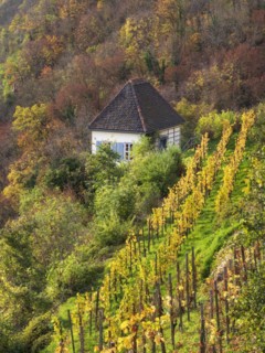 Dornburg Castles