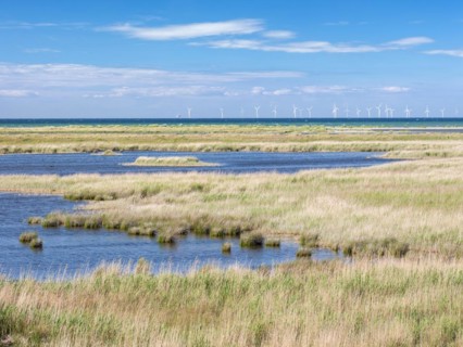 Brackish water lakes at Darsser Ort