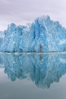 Monacobreen