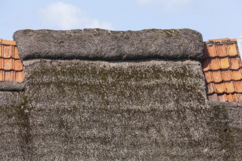 Thatched roof