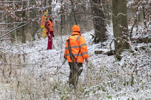 Driven hunt in Schoenbuch Nature Park
