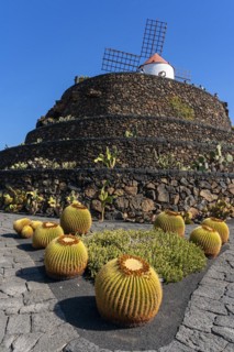 Windmill in the Jardin de Cactus