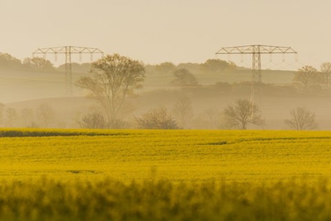 Electricity pylons looming in a landscape near Glasewitz