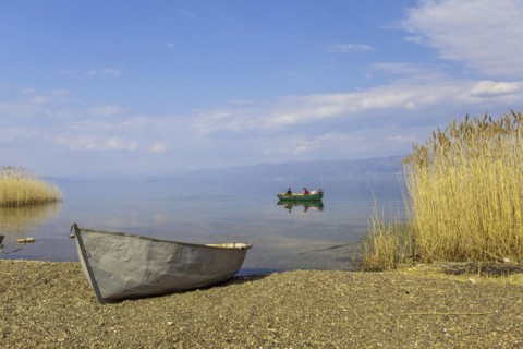 Lake Ohrid near Piskupat with rowing boat and reeds