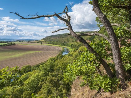 View into the Unstrut valley