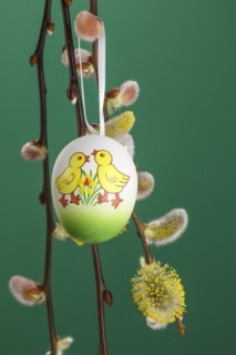 Willow Catkin with Easter Egg