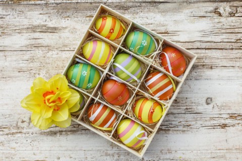 Coloured eggs in a box