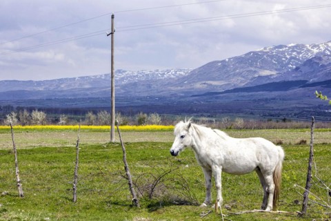 Plateau near Erseka in the southeast