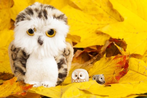 Owls Figures on Autumn Leaves