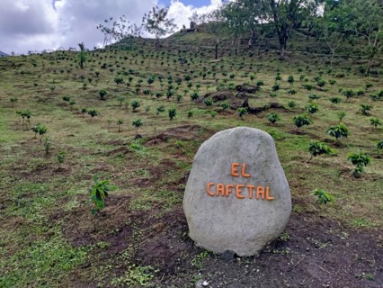 Arenal Volcano National Park