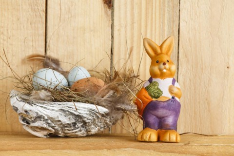 Easter nest from a shell