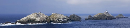 Gannetry on sea stacks and the Muckle Flugga lighthouse