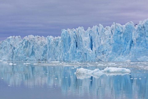 Monacobreen