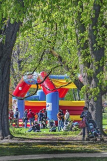 Bouncy castle under chestnuts