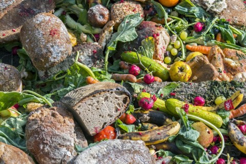 Surplus food