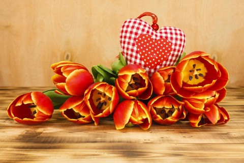 Tulips with heart