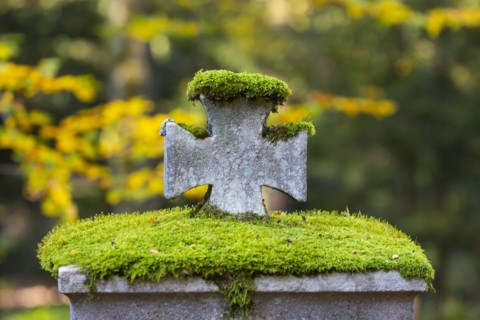 Cemetery in autumn