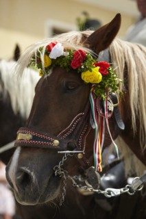 Wreath riding