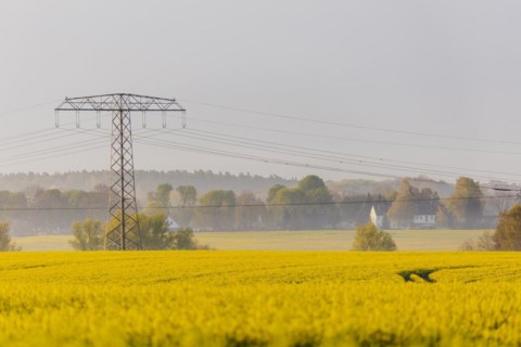 Electricity pylons looming in a landscape near Glasewitz