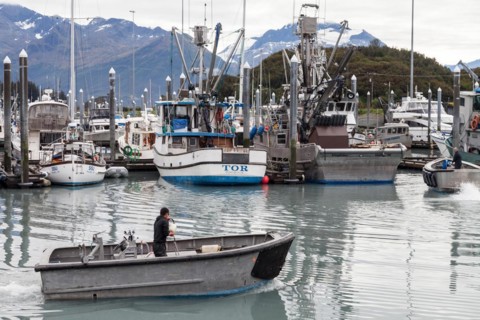 Boats in the harbour of Valdez