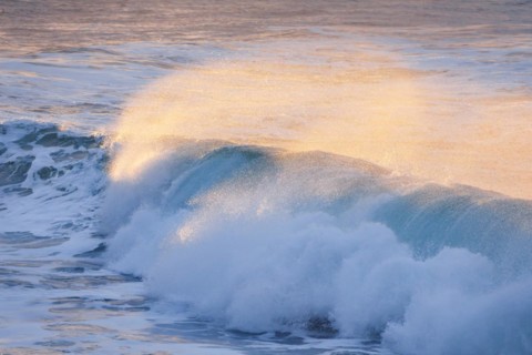 Backlit wave breaking in warm evening light on open sea off north coast of Scotland