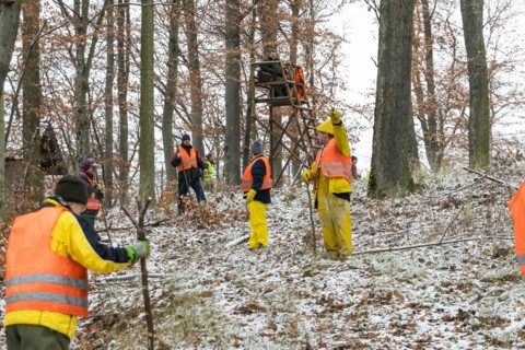 Driven hunt in Schoenbuch Nature Park