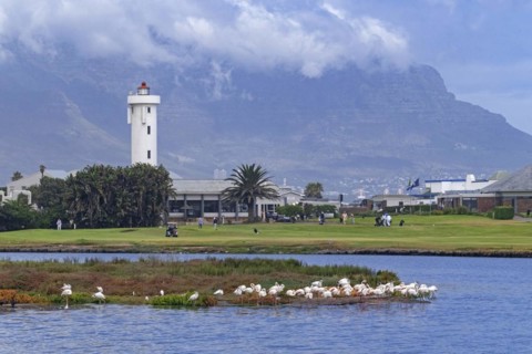 Milnerton Lighthouse on Table Bay and greater flamingos at the Golf Club on Woodbridge Island near Cape Town