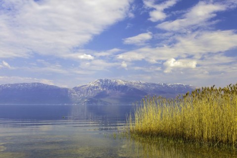 Lake Ohrid near Piskupat with rowing boat and reeds